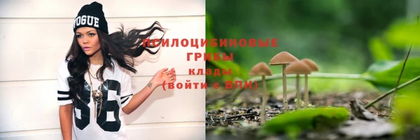 трава Бугульма